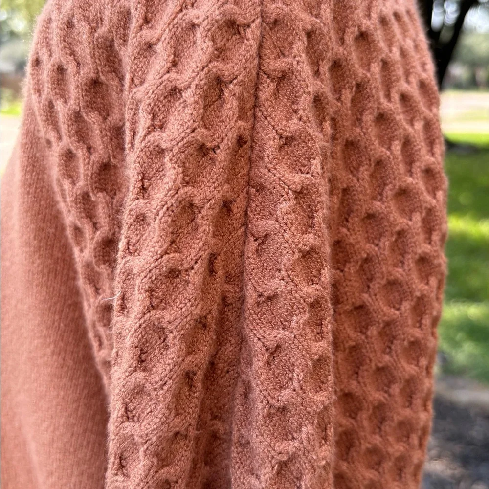 BB Dakota / Steve Madden; Warm Brown Long Sleeve Dress - Picture 5 of 10